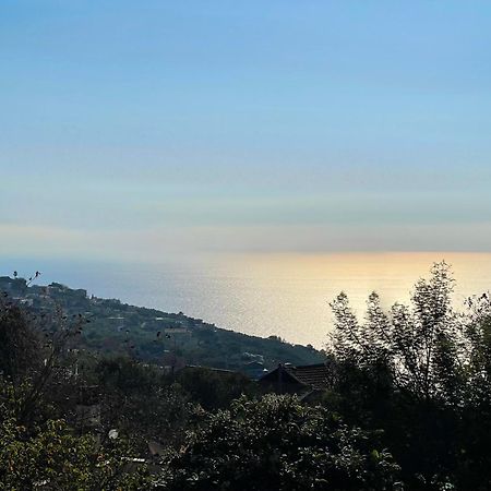 Casa Gargiulo Διαμέρισμα Massa Lubrense Εξωτερικό φωτογραφία