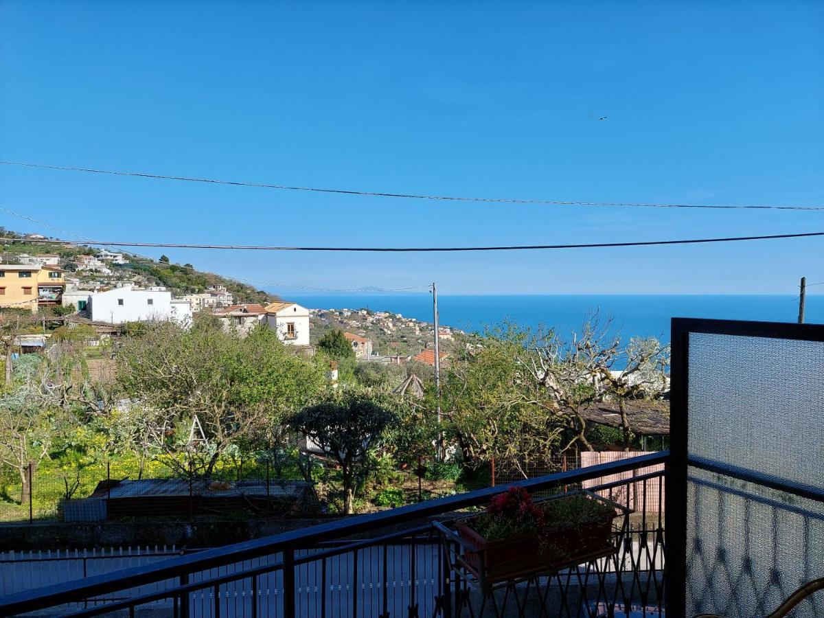 Casa Gargiulo Διαμέρισμα Massa Lubrense Εξωτερικό φωτογραφία